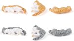 Cute 6 Pack Fun Cat Refrigerator Magnets Office Magnet Cute Magnets for Fridge 3D Cat Refrigerator Magnet Set 6 Pack,Decoration for Kitchen,House,Office,Whiteboard