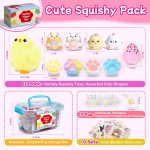 10 Pack Taba Squishy Toys kit with Toy Box-Squeeze Toys Kawaii taba Squishies Stress Relief Toys Party Favors for Kids 4-8 8-12, Squishy Fidget Toys for Kids , Birthday Gifts Toys for Girls 8-10